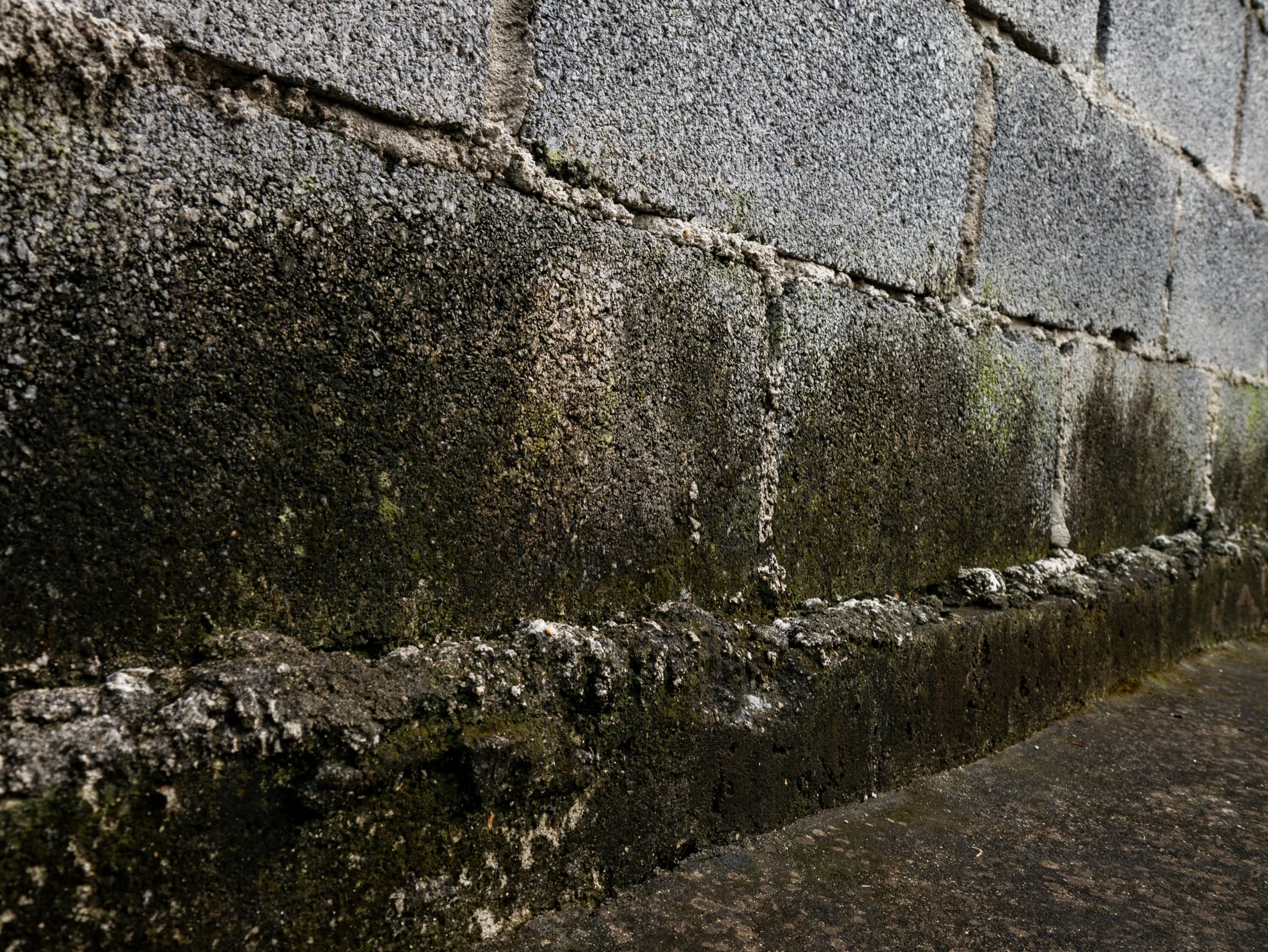 Moisture and cracking on a foundation wall — signs of long-term water intrusion